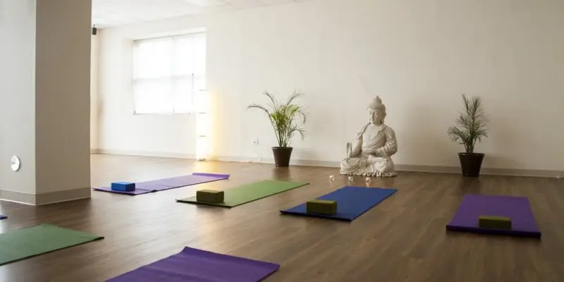 Yoga + Herbs Yoga + Herbs