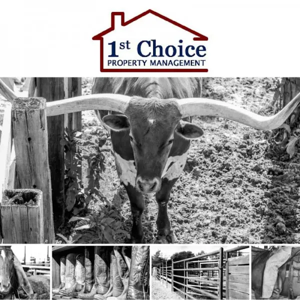 1st Choice Property Management 1st Choice Property Management