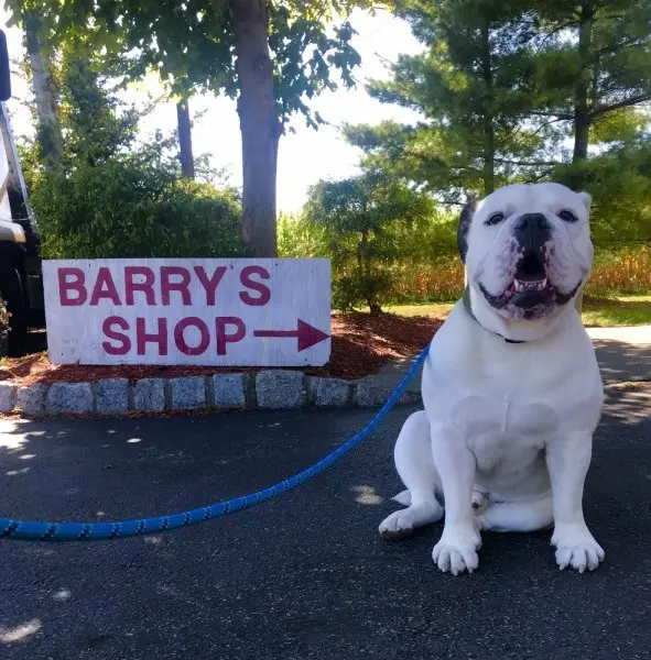 Barry's Service Center and Towing Barry's Service Center and Towing