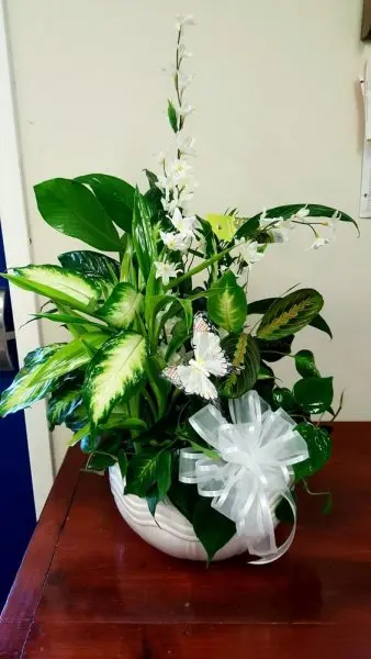 A Touch of Spring Florist A Touch of Spring Florist