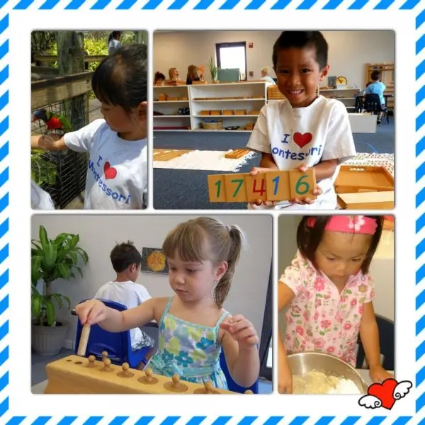 Brevard Montessori School Brevard Montessori School