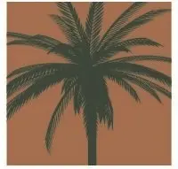 Palm Garden Of Winter Haven Palm Garden Of Winter Haven