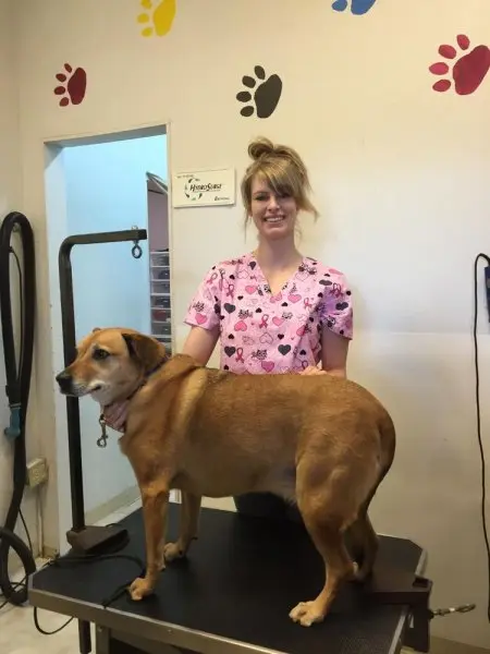 Hug-A-Bubba's Doggie Daycare & Grooming Hug-A-Bubba's Doggie Daycare & Grooming