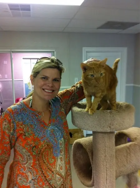 Grayvik Animal Care Center Grayvik Animal Care Center
