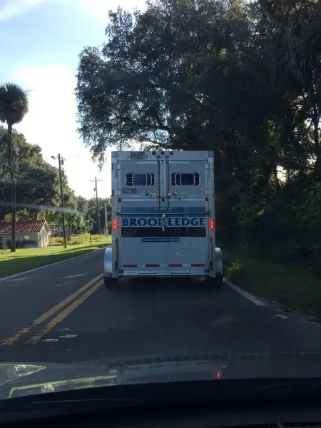 Brook Ledge Horse Transport Brook Ledge Horse Transport