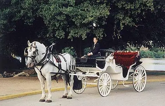 Austin Carriage Austin Carriage