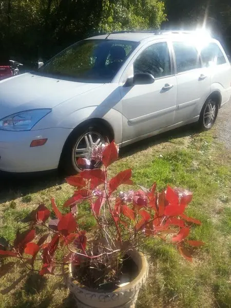Vashon Shuttle Vashon Shuttle