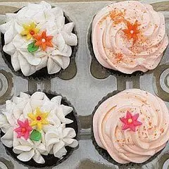 Sweet City Cupcakes Sweet City Cupcakes