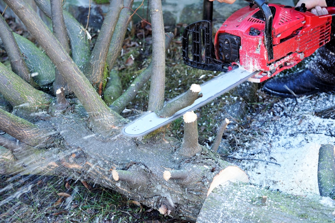 Durham Tree Service Estimates  