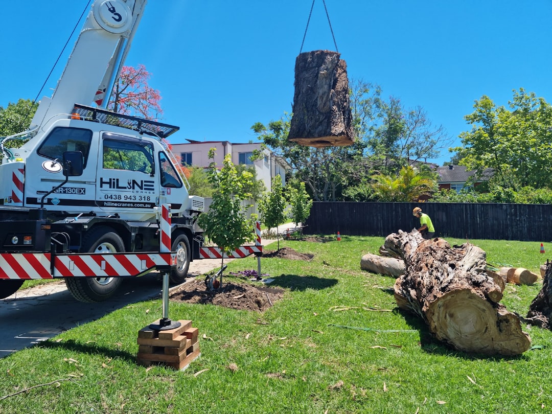 Same Day Tree Removal Durham  