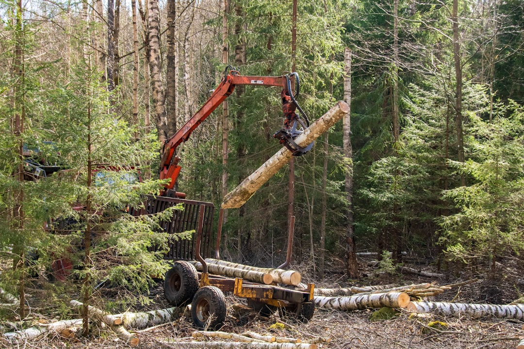 Tree Removal Technicians Durham  