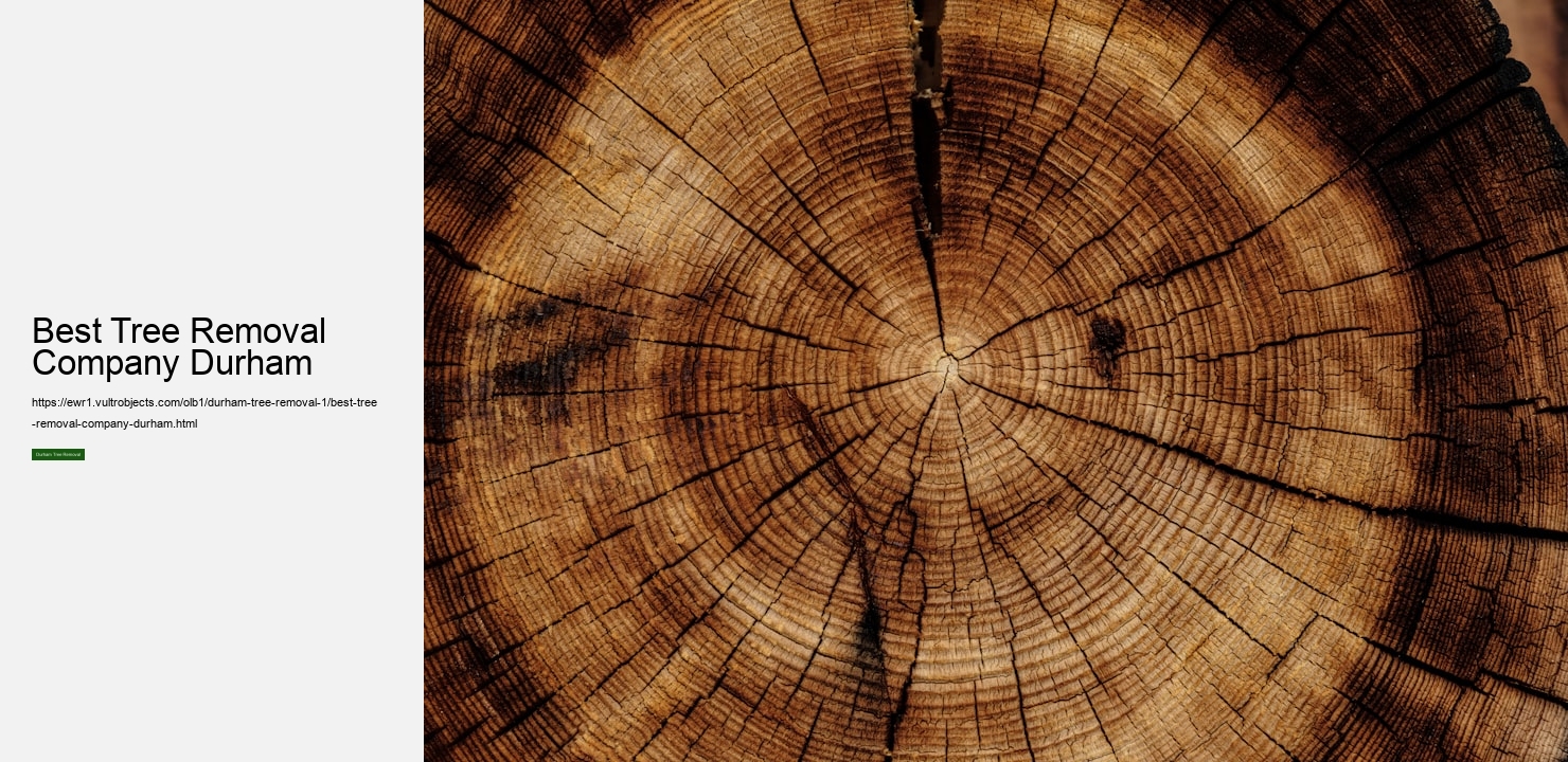 Best Tree Removal Company Durham