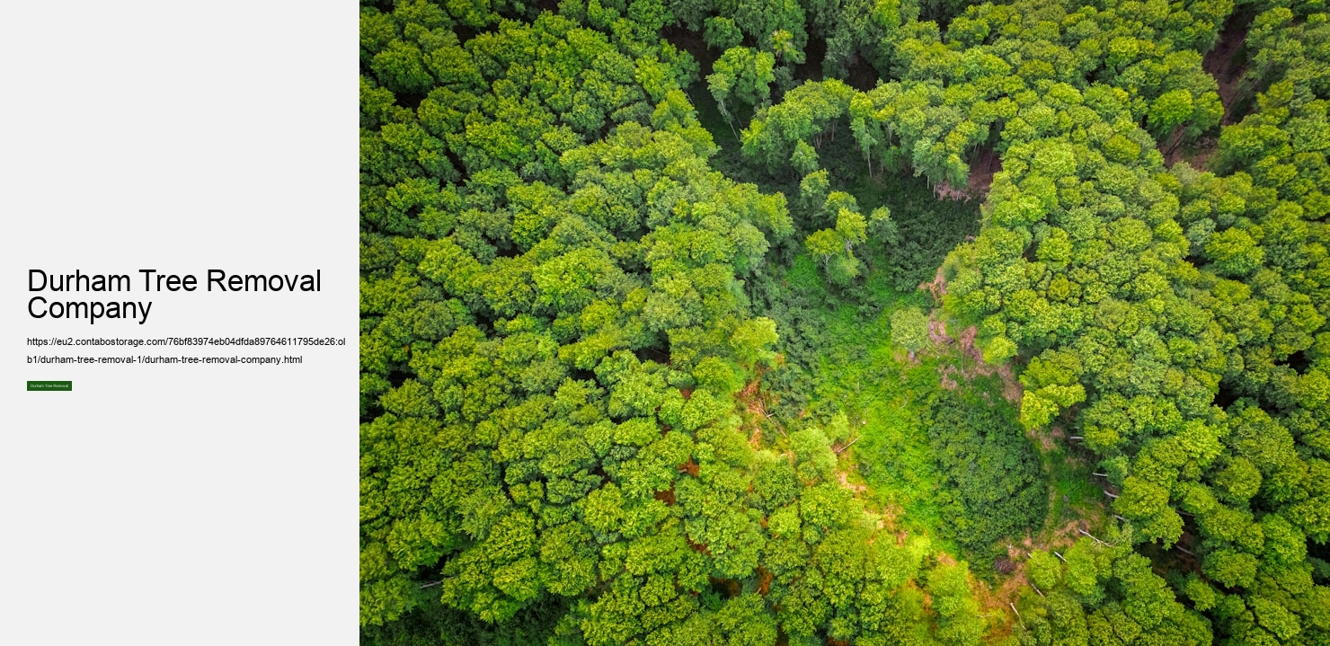 Durham Tree Removal Company