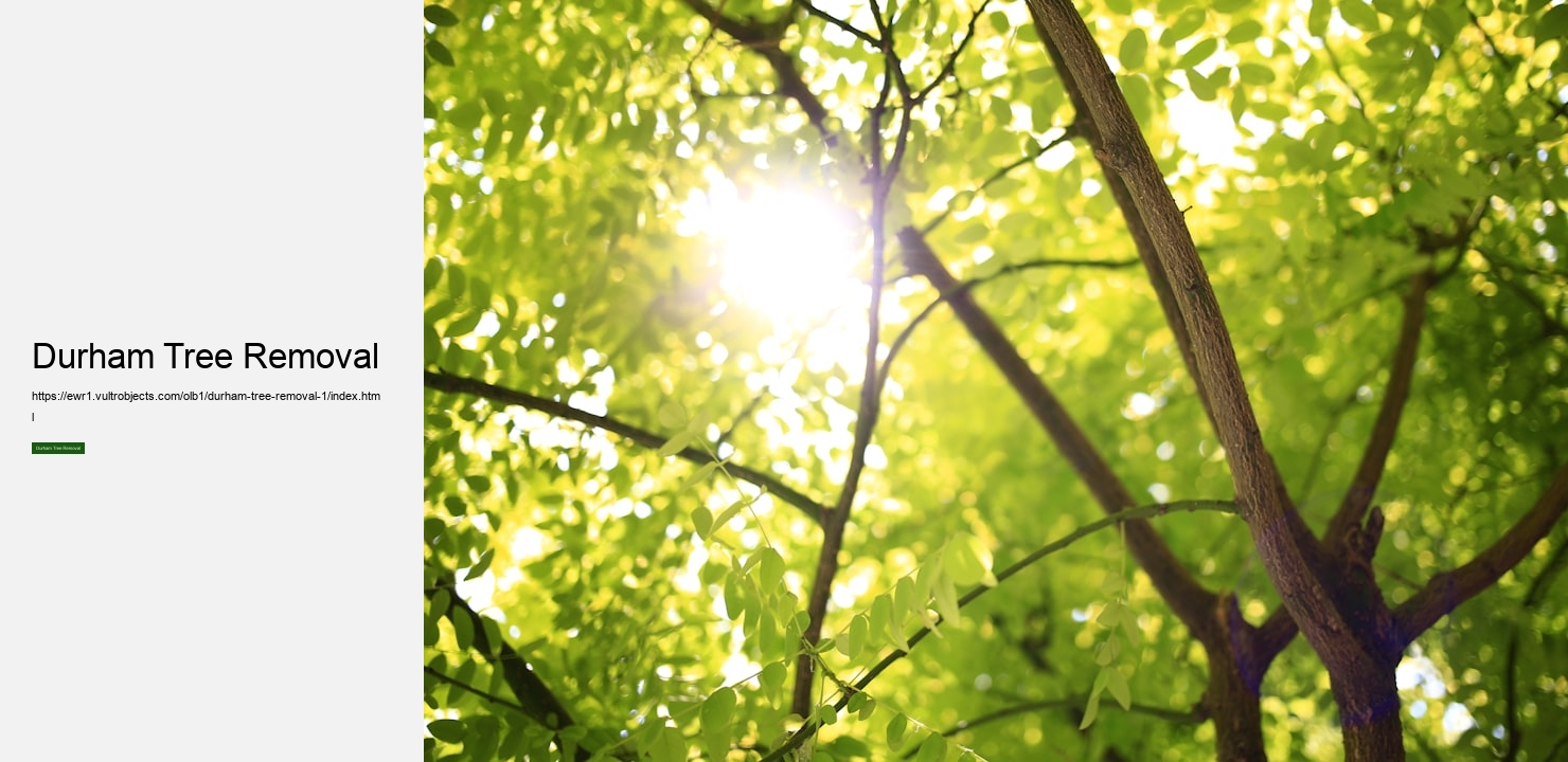 Durham Tree Removal