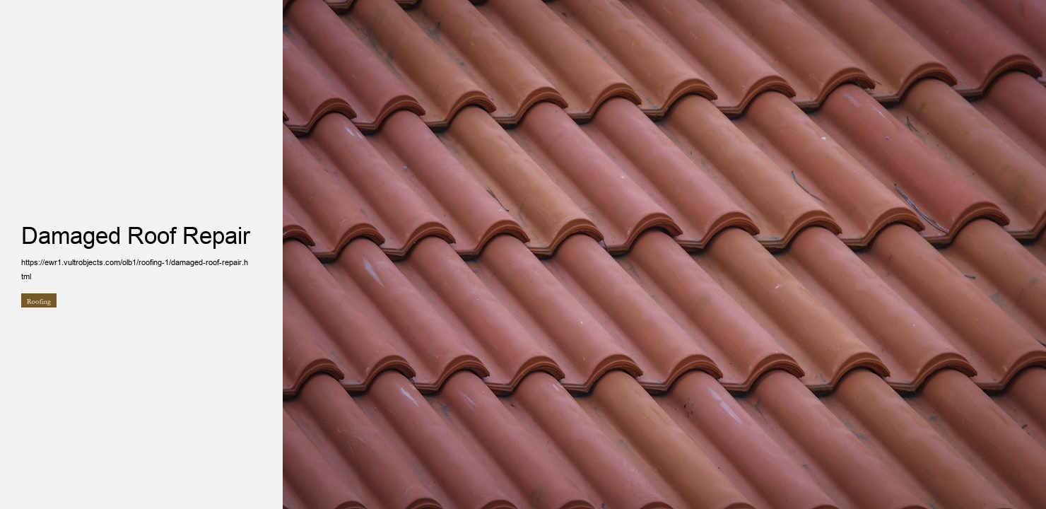 Damaged Roof Repair