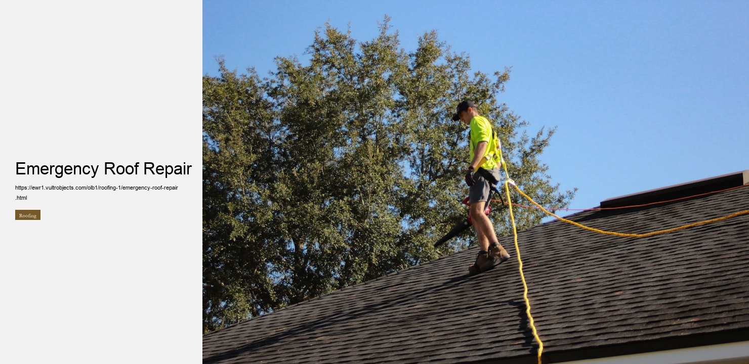Emergency Roof Repair