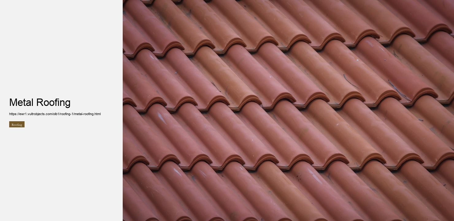 Metal Roofing
