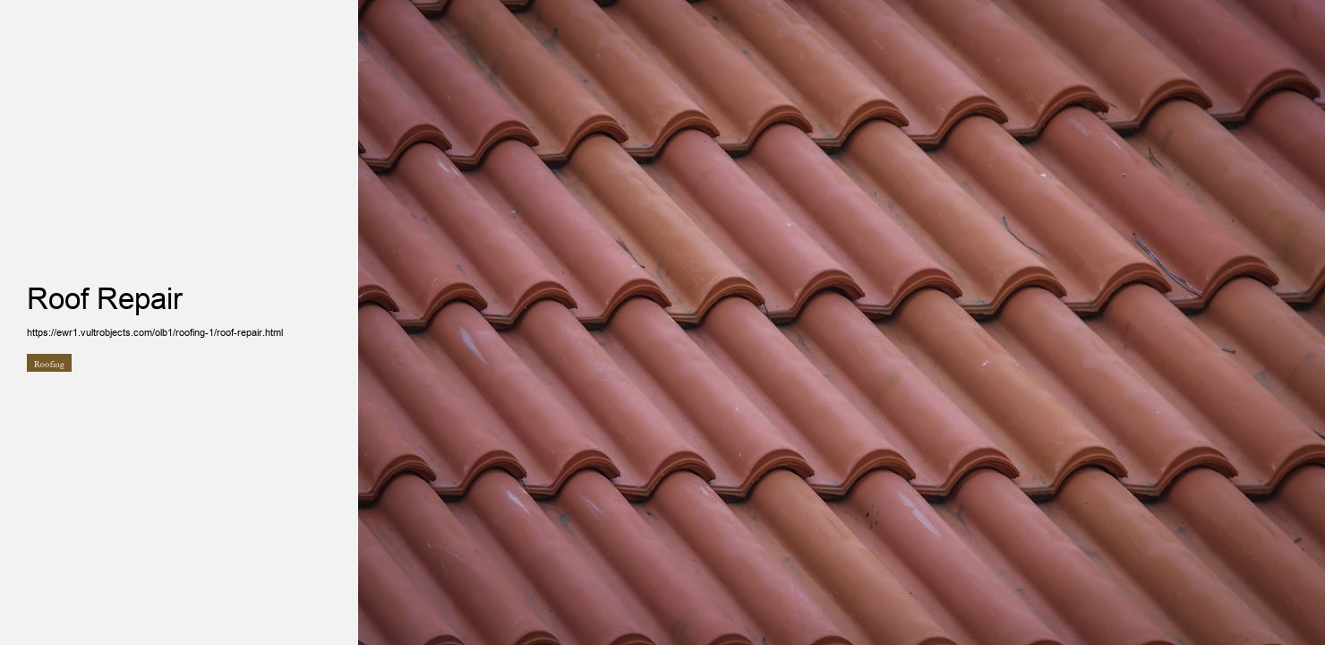 Roof Repair
