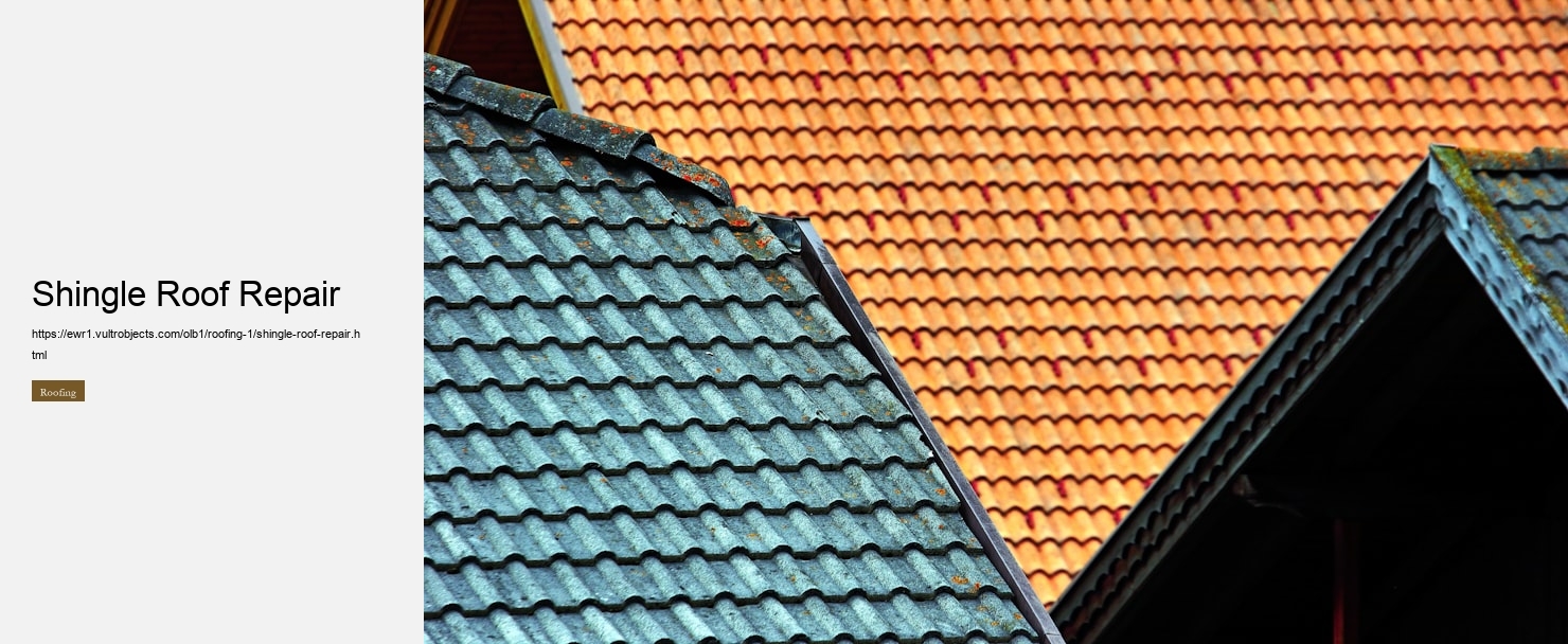 Shingle Roof Repair