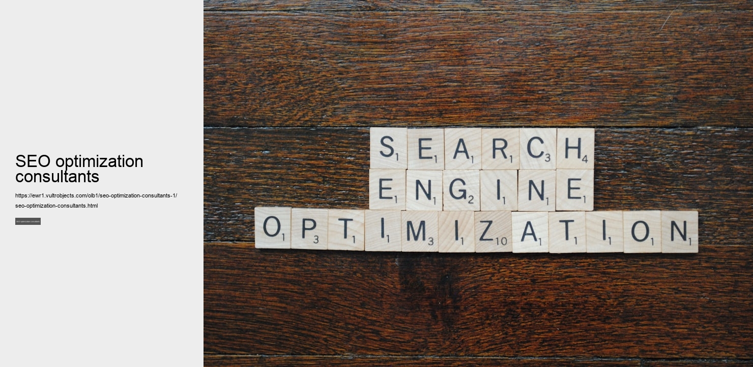 SEO optimization consultants