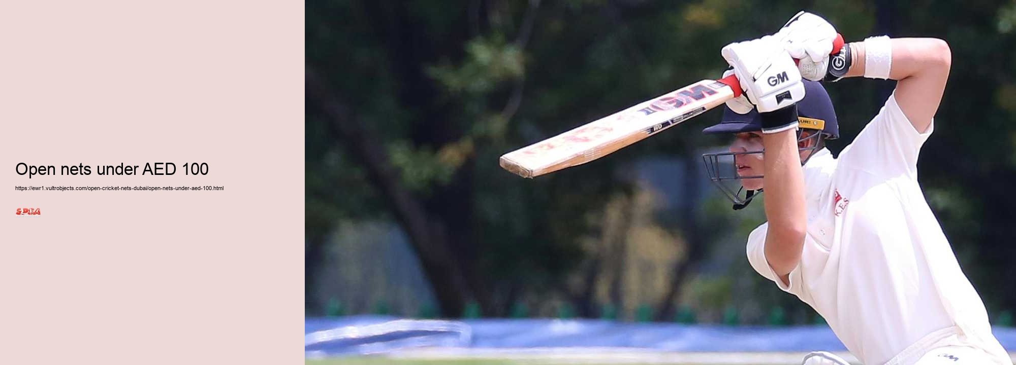 open nets under AED 100