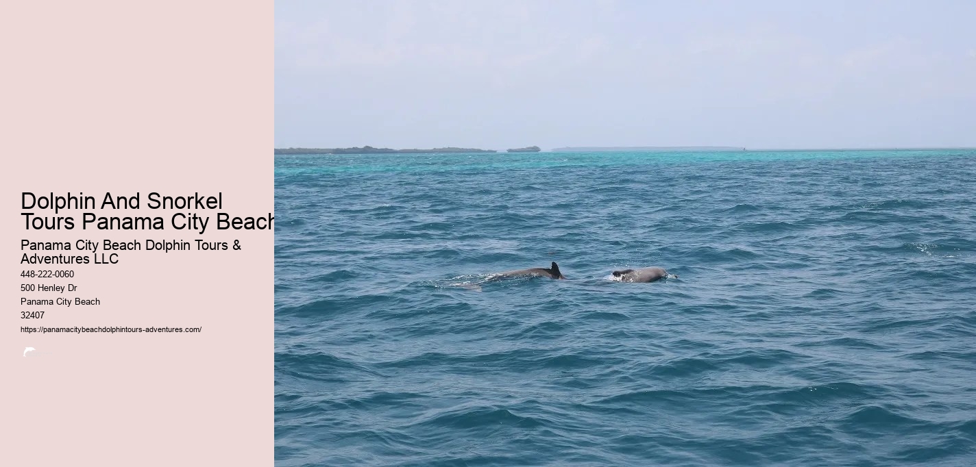 Dolphin & Snorkeling Tours Panama City Beach