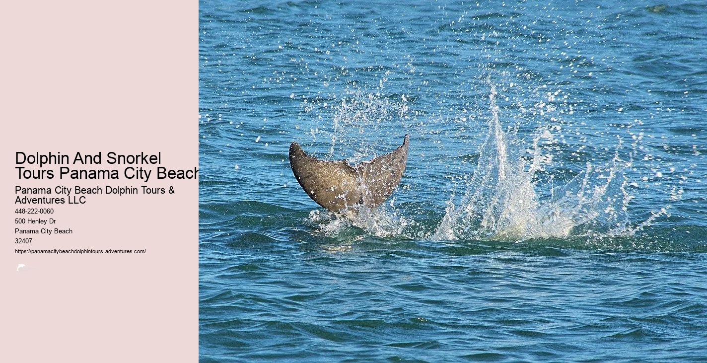 Panama City Beach Snorkeling Tours