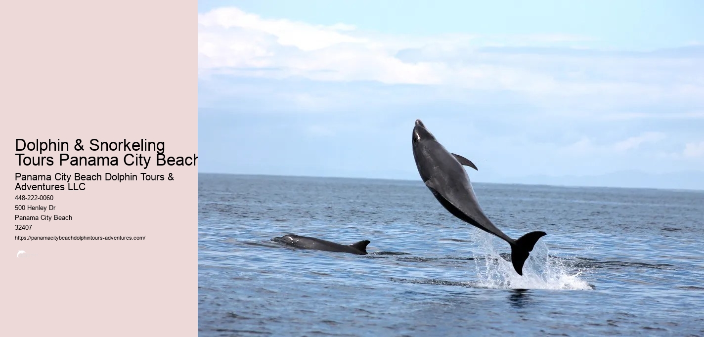 Snorkeling Tours Panama City Beach