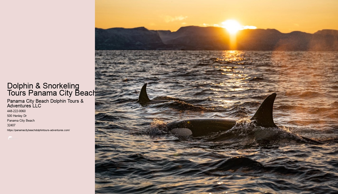 Snorkeling Panama City Beach