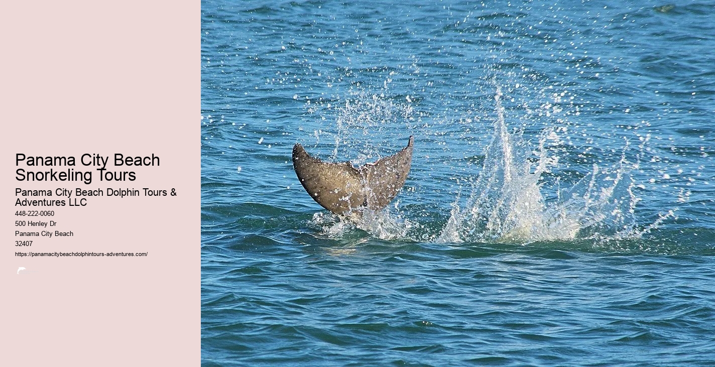 Snorkel Tour Panama City Beach