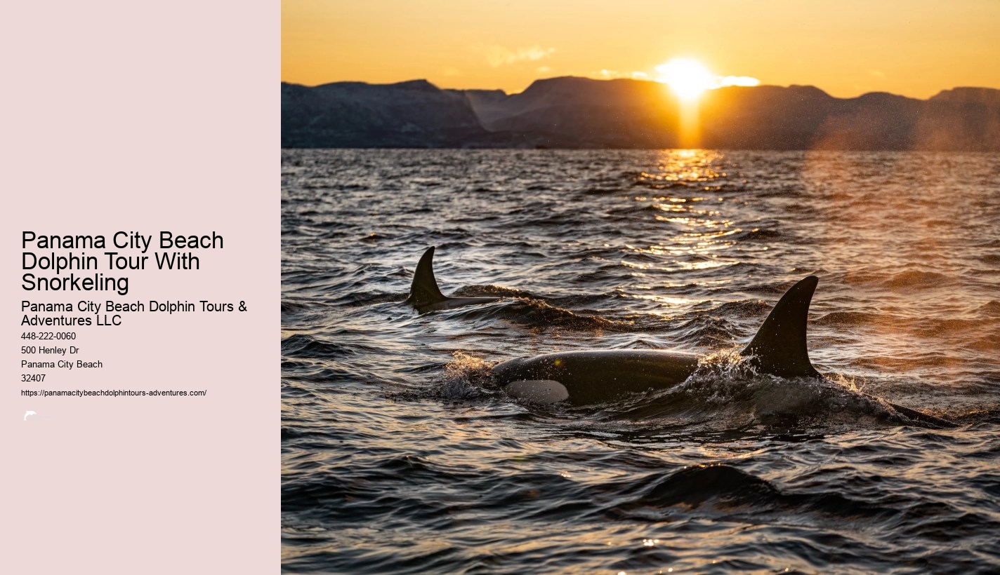 Dolphin & Snorkeling Tours Panama City Beach