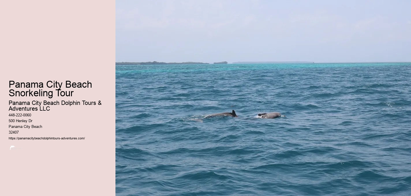 Dolphin & Snorkeling Tours Panama City Beach