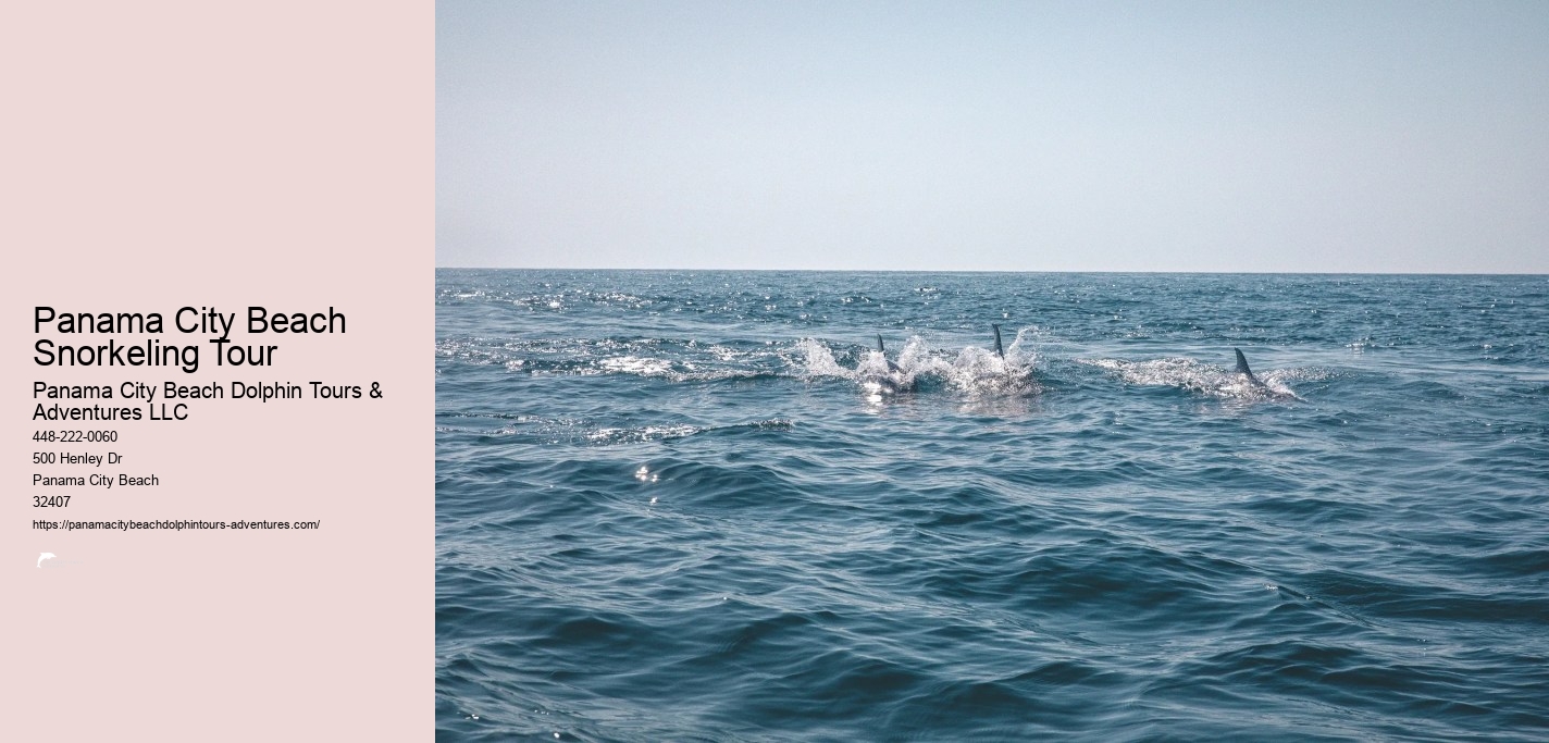 Panama City Beach Snorkeling Tour