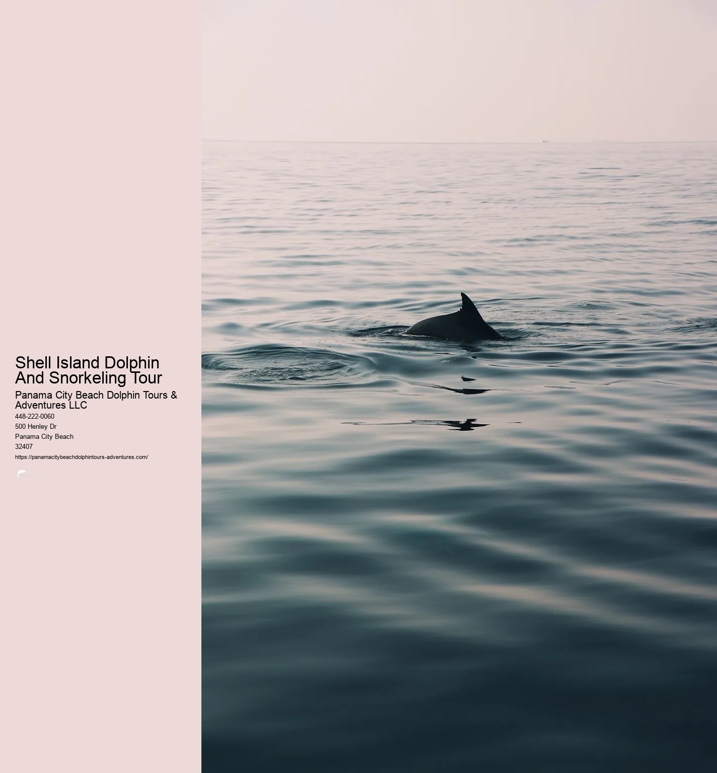 Panama City Beach Shell Island Dolphin And Snorkel Cruise