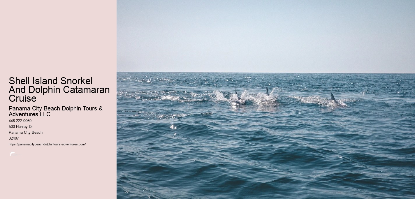 Panama City Beach Snorkeling Tour