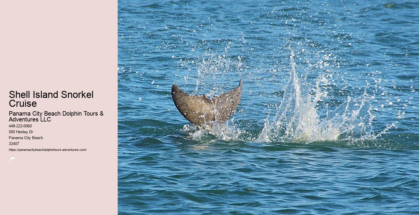 Snorkeling Tours In Panama City Beach Fl