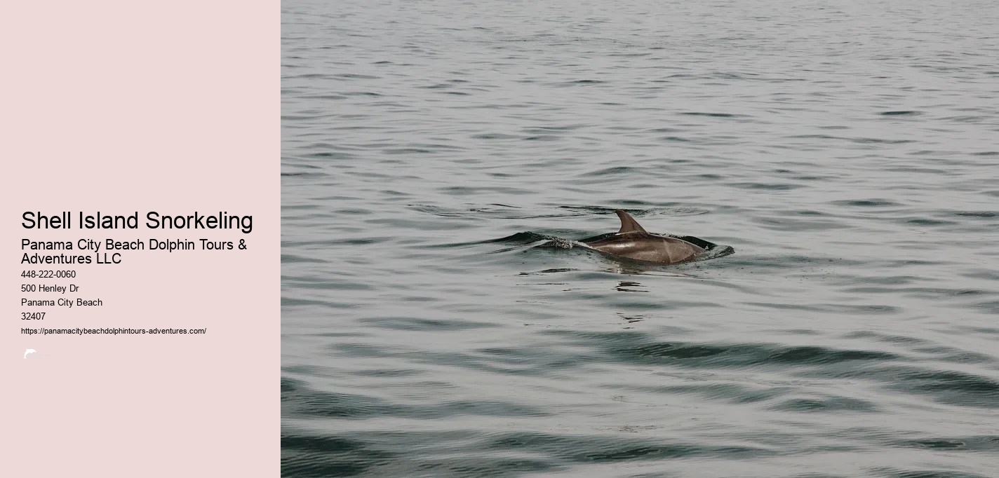Snorkeling Panama City Beach