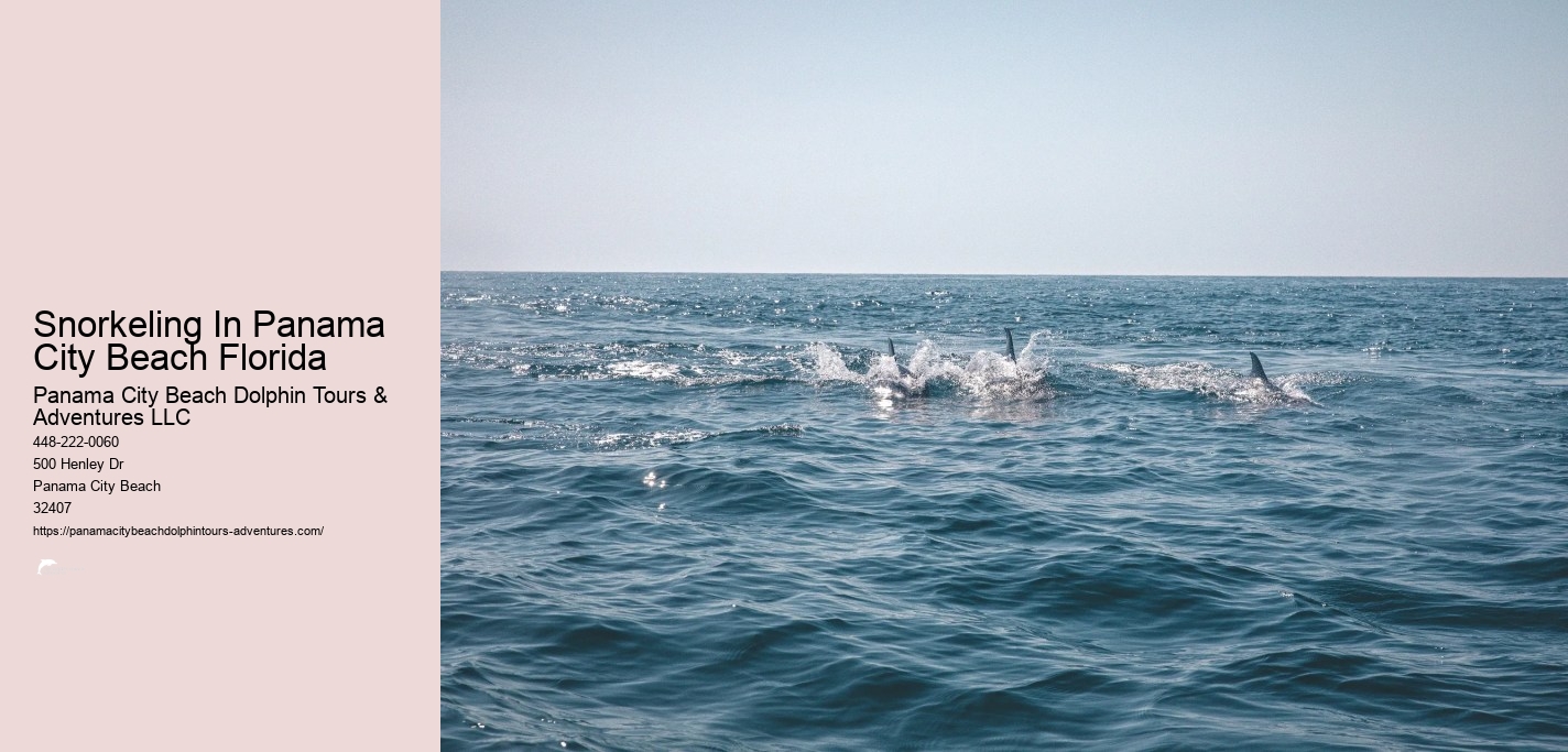 Snorkel Tour Panama City Beach