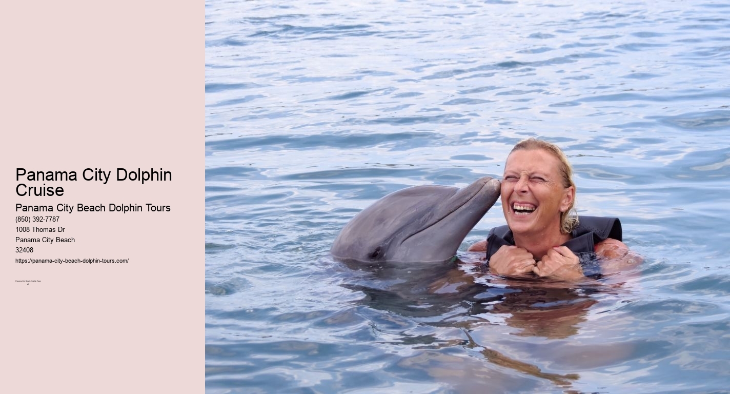 Panama City Dolphin Cruise