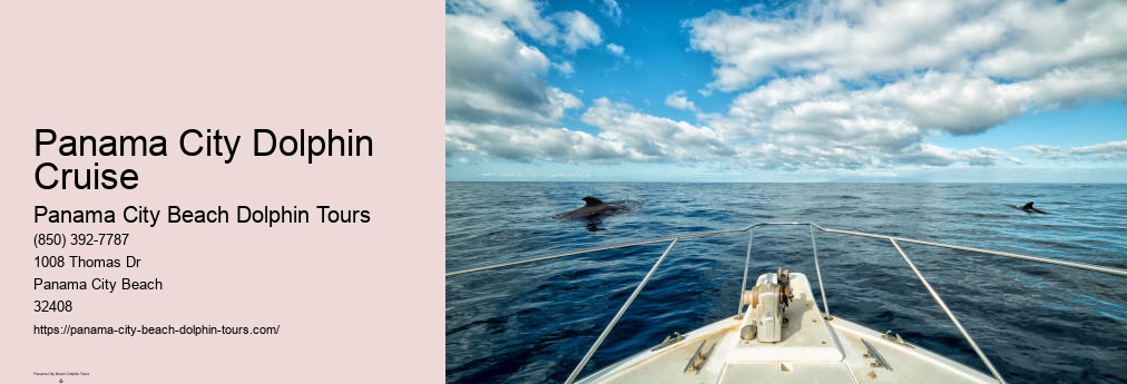 Best Dolphin Tours Panama City Beach