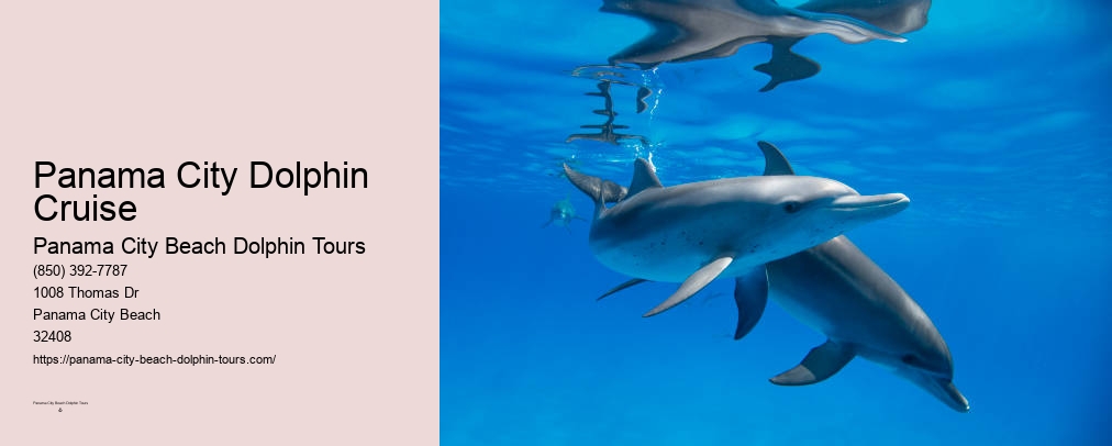 Shell Island Panama City Beach Map