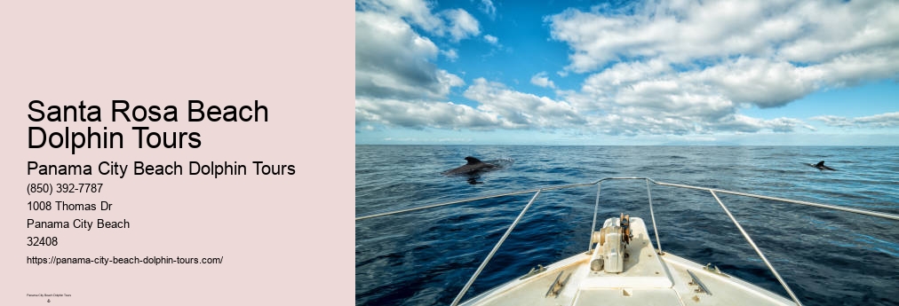 Dolphin Boat Ride Panama City Beach