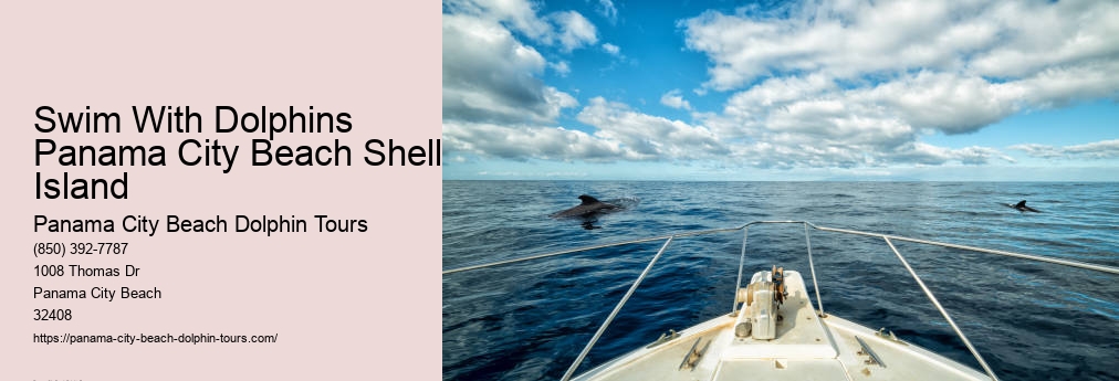 Swim With Dolphins Panama City Beach Shell Island