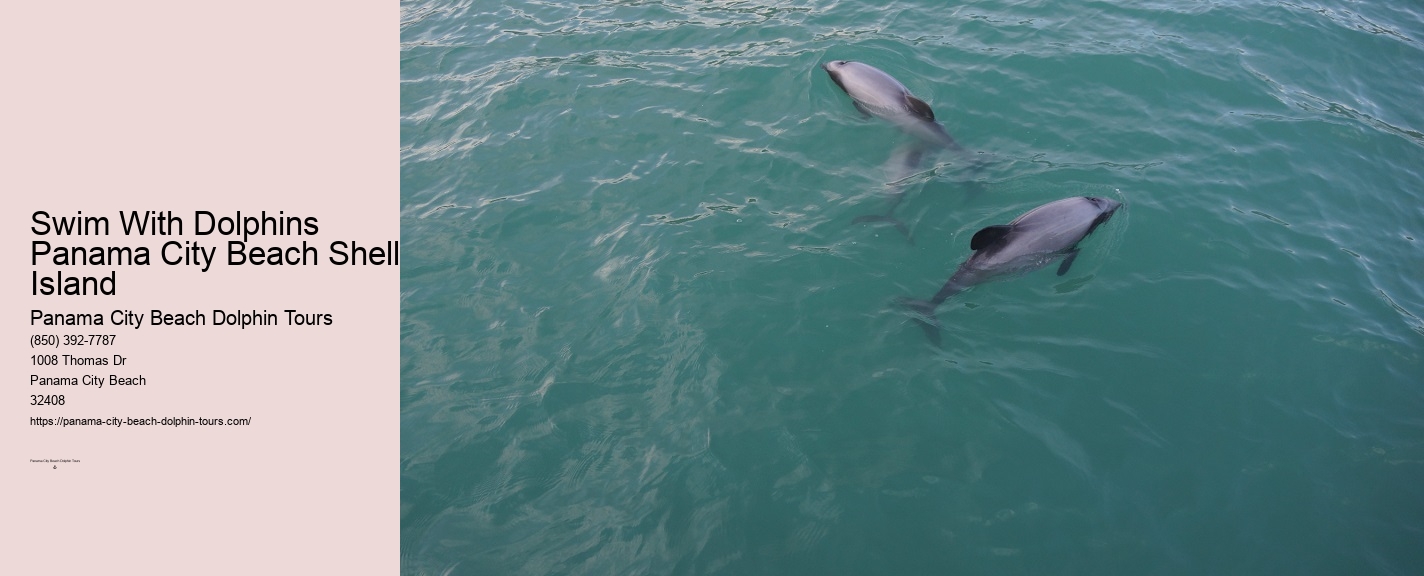 Panama City Beach Dolphins