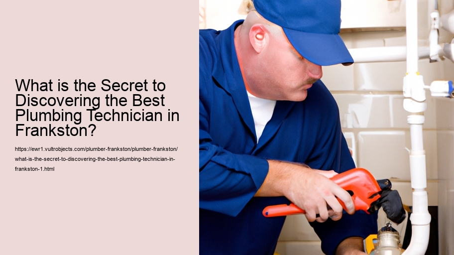 What is the Secret to Discovering the Best Plumbing Technician in Frankston?