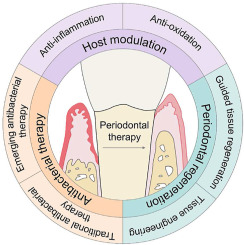 Understanding Gum Disease: Causes, Symptoms, and Treatment