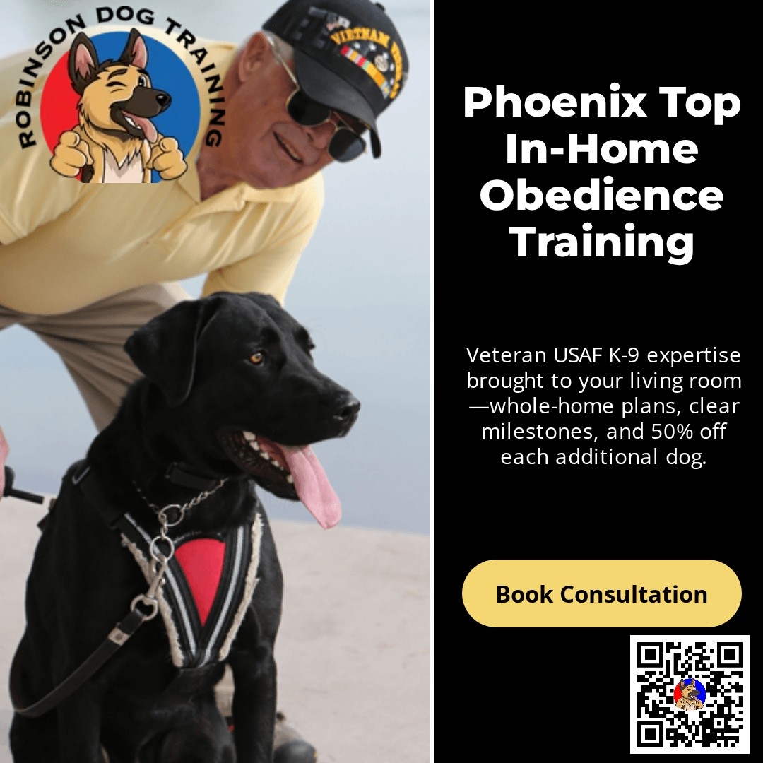 Board & Train (1–3 Weeks)