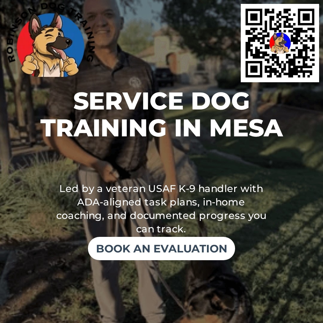 Protection Dog Training