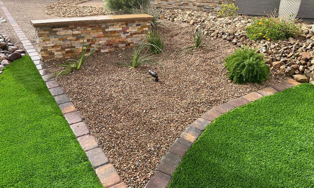 Community Gardens Flourish: New Green Spaces Sprout Across Las Vegas Neighborhoods