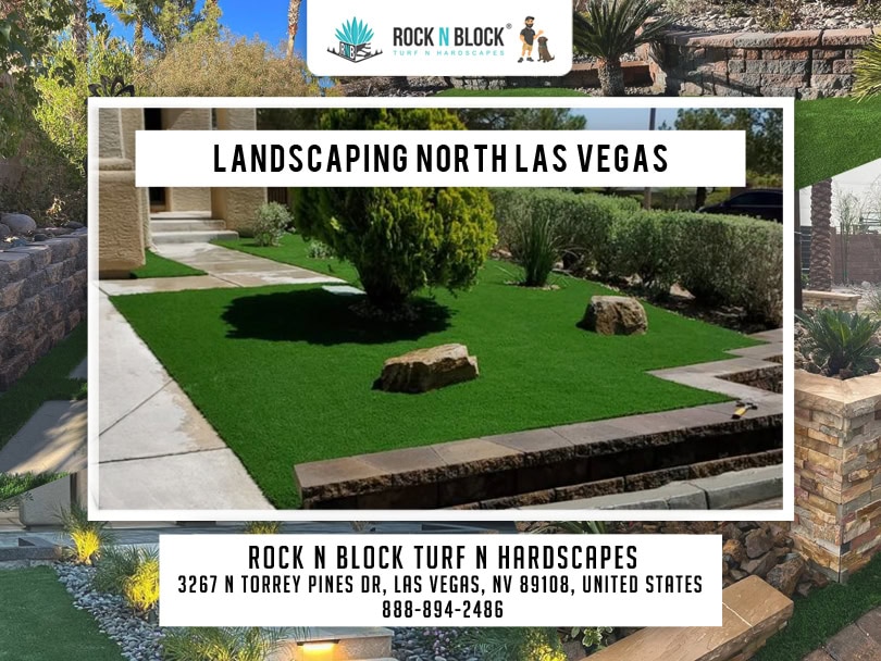 Landscaping Design for Las Vegas Pools: Cool Ideas in a Hot Climate